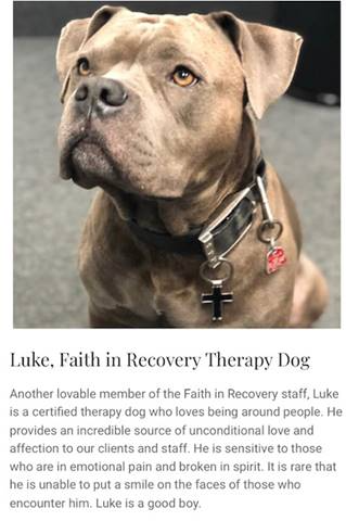 Therapy dog at Faith in Recovery