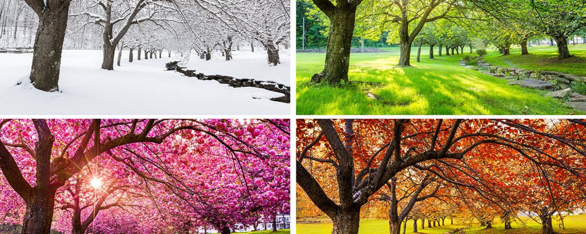 Do the Change of Seasons Affect Depression?