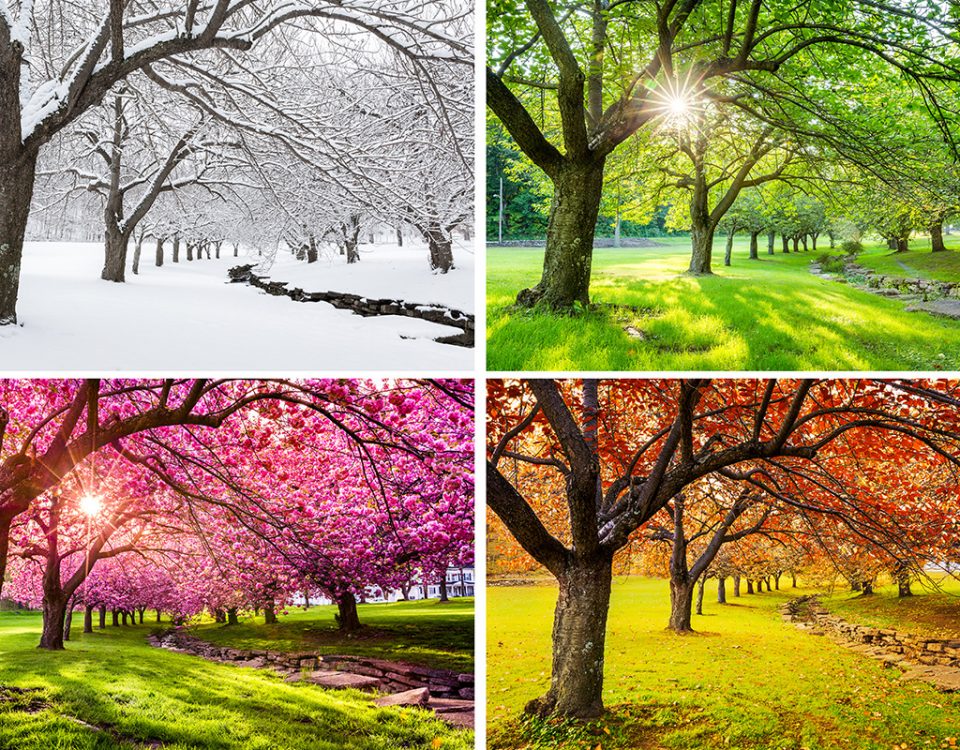 Do the Change of Seasons Affect Depression?