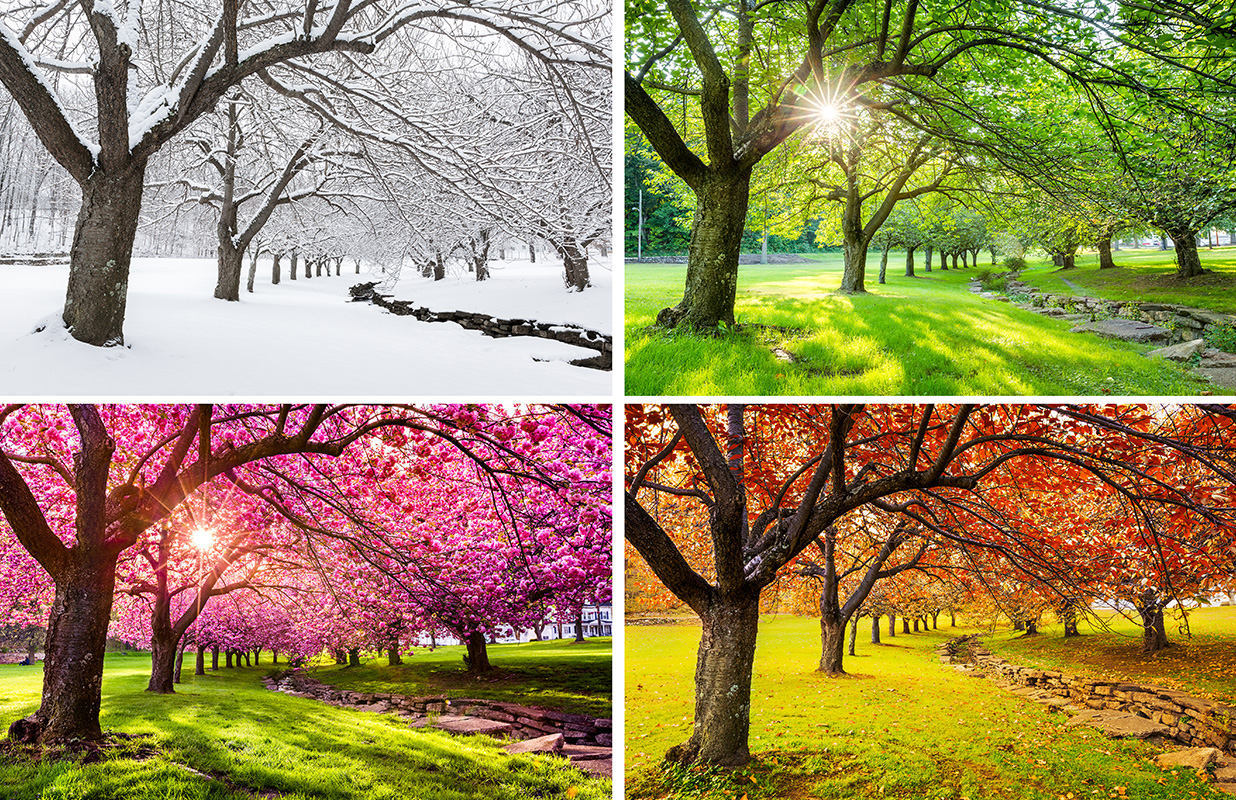 Do the Change of Seasons Affect Depression?