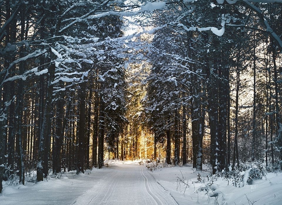 How Does the Winter Affect Depression?