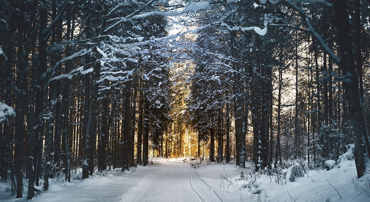 How Does the Winter Affect Depression?