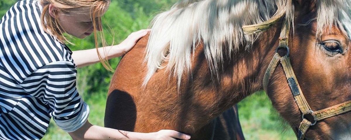 equine therapy for addiction