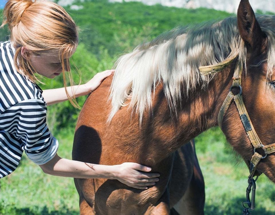 What is Equine Therapy?