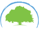 Banyan Tree Icon