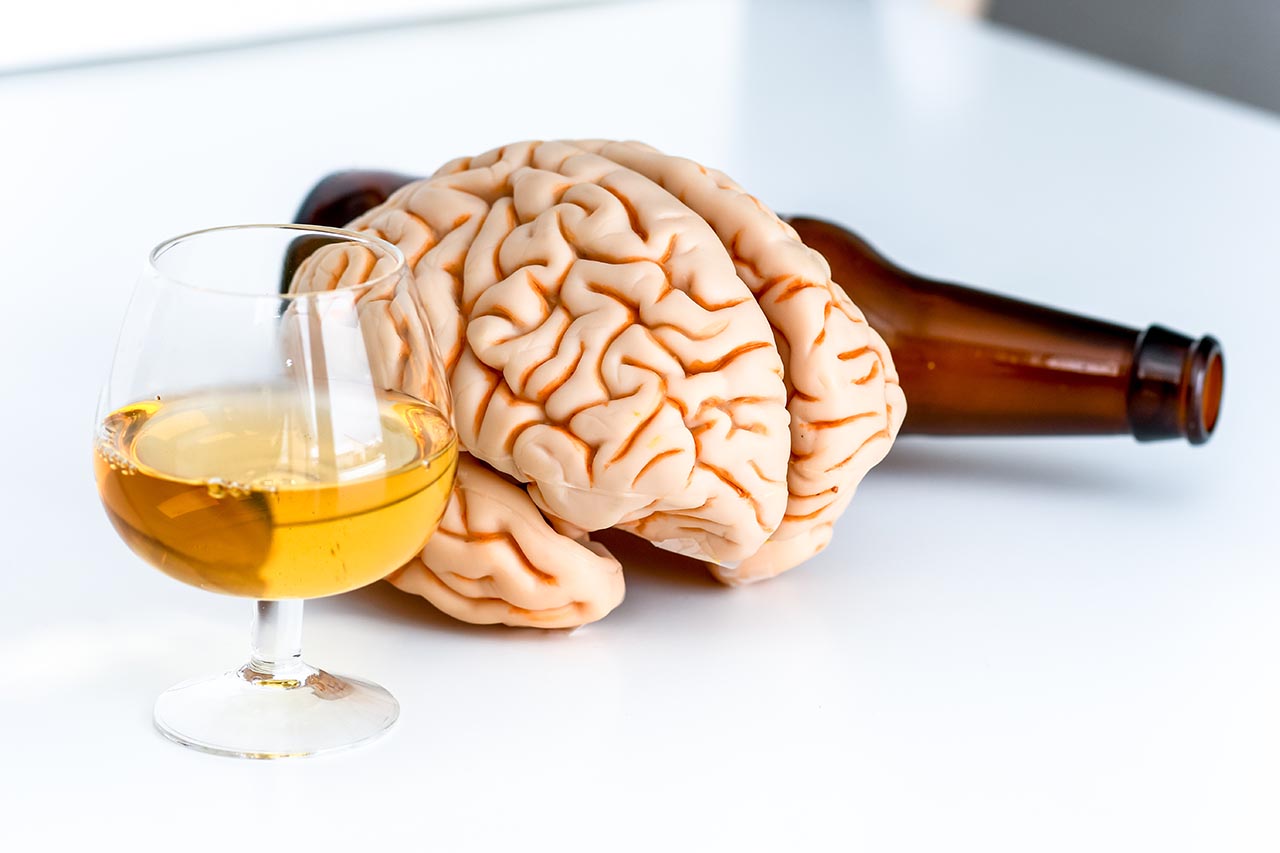 New Discoveries About Alcoholismâ€™s Origins in the Brain