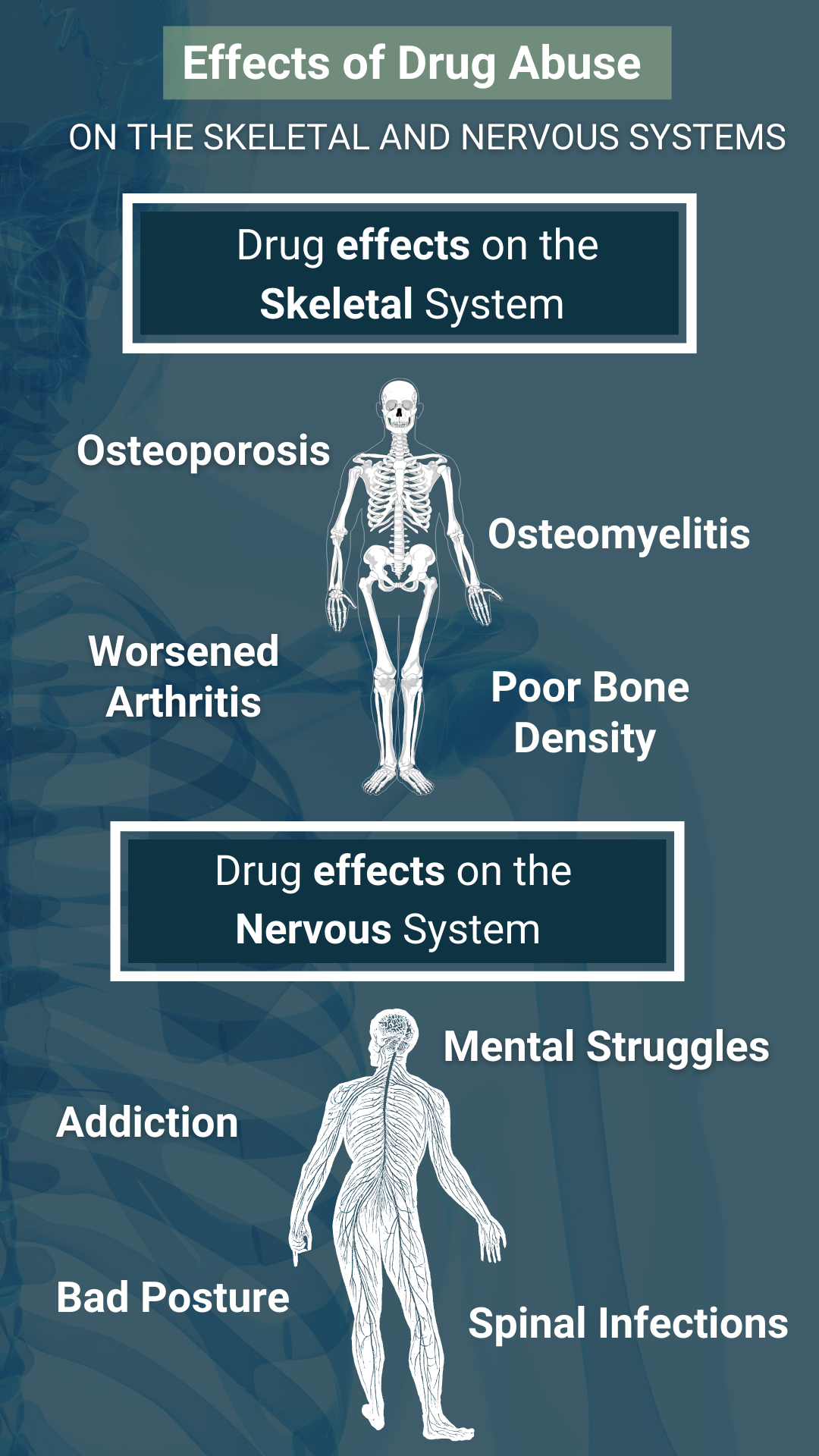 drug effects of drug abuse on the skeletal and nervous system