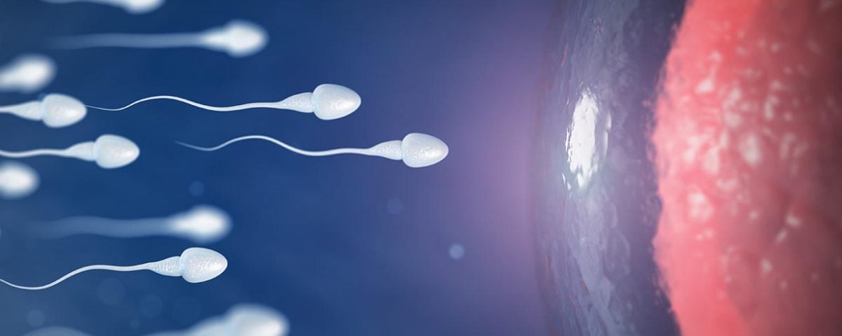 The Effects of Drugs on Sperm