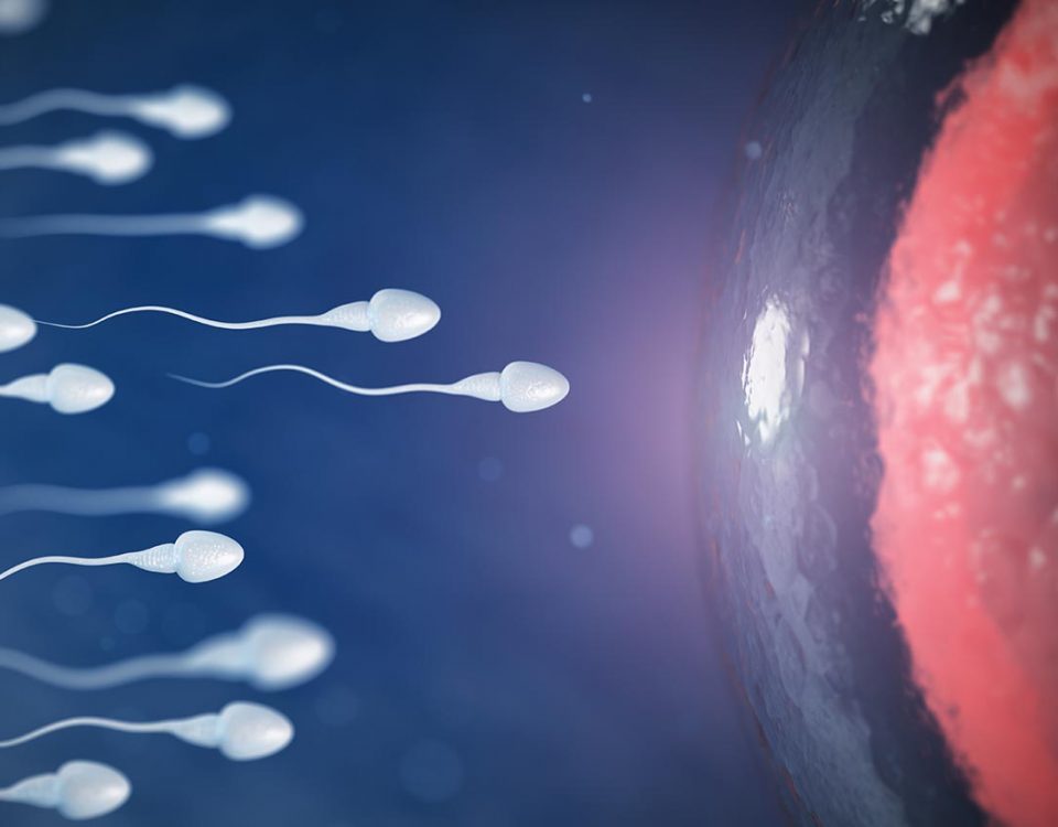 The Effects of Drugs on Sperm