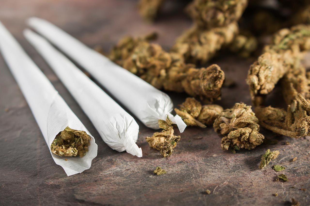 10 Most Common Questions About Marijuana