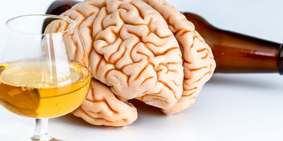 how alcohol affects the brain