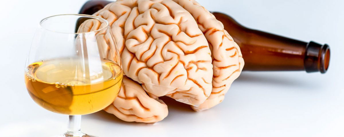 how alcohol affects the brain