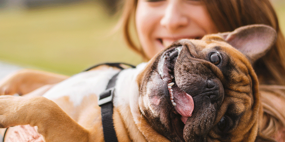 Benefits of Owning a Pet in Recovery