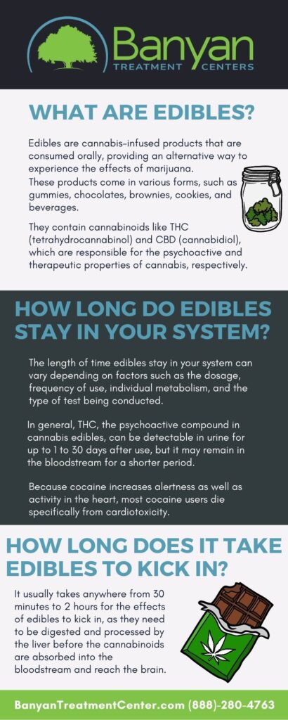 Infographic about how long edibles stay in your system