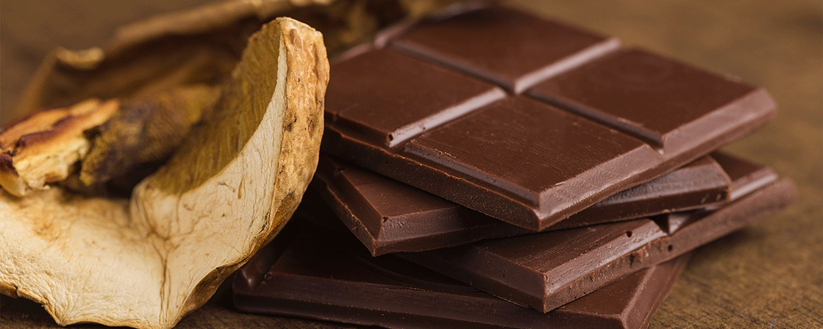 Mushroom Chocolate: A Dangerous Delicacy | Banyan Massachusetts
