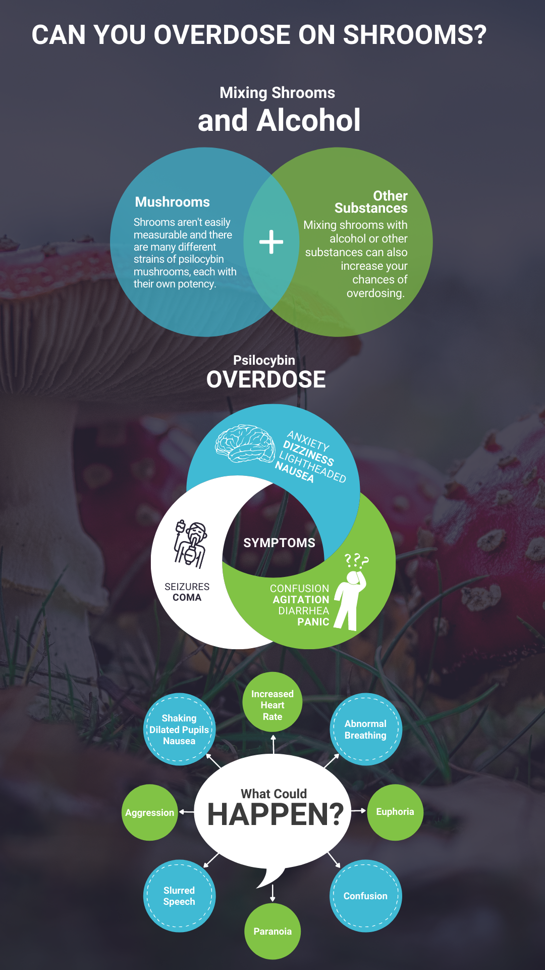 Can You Overdose on Psilocybin? Banyan Texas