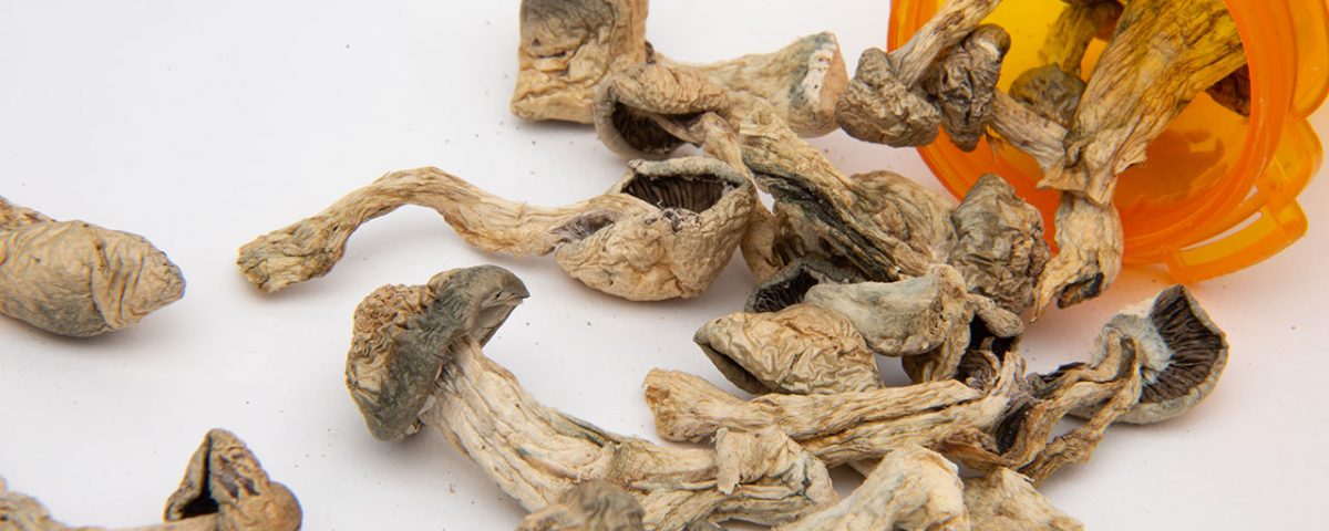 Can You Overdose On Shrooms?