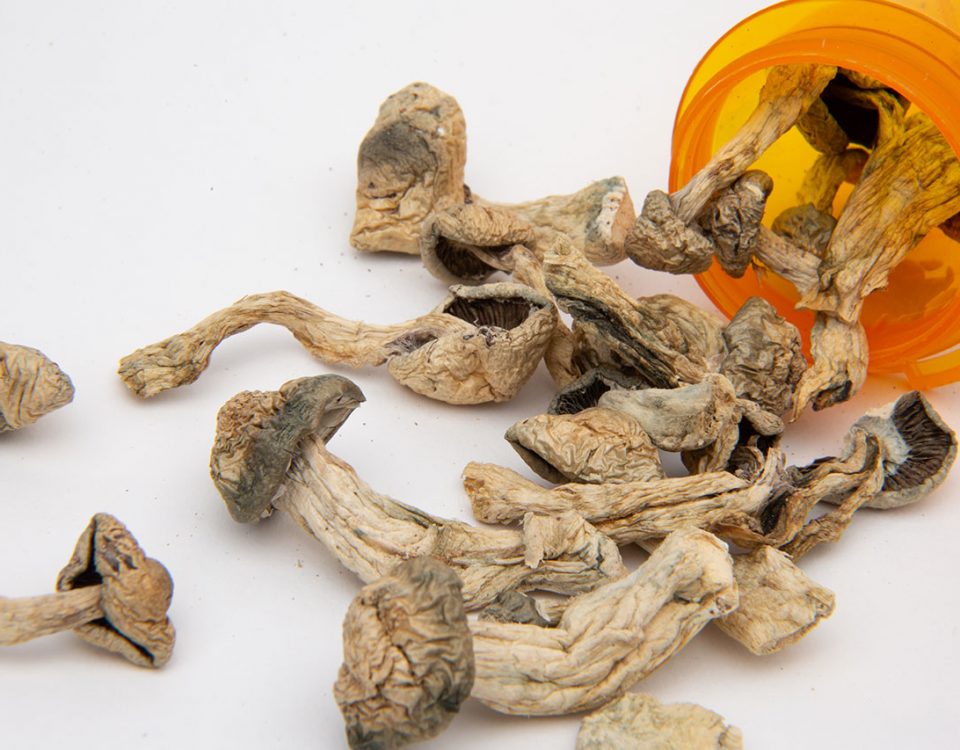 Can You Overdose On Shrooms?