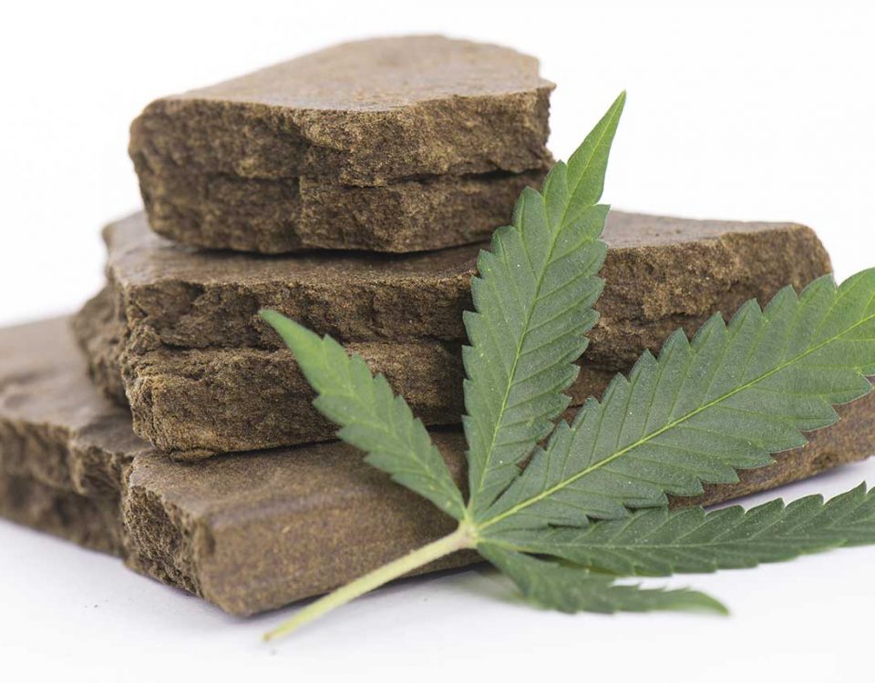 Hashish Effects: What You Need to Know
