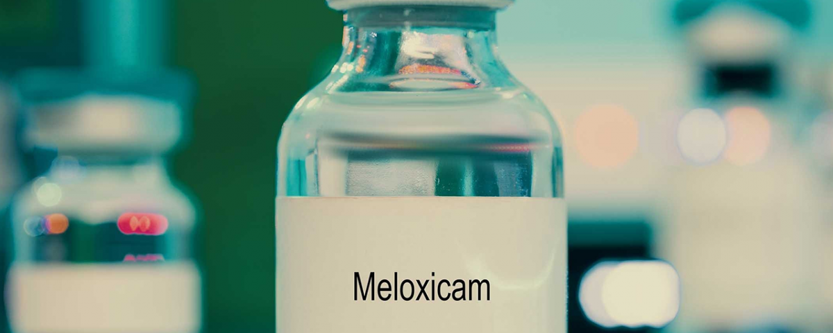 Meloxicam Abuse: Signs, Side Effects, & Treatment