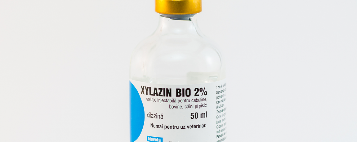 Side Effects of Xylazine in Humans