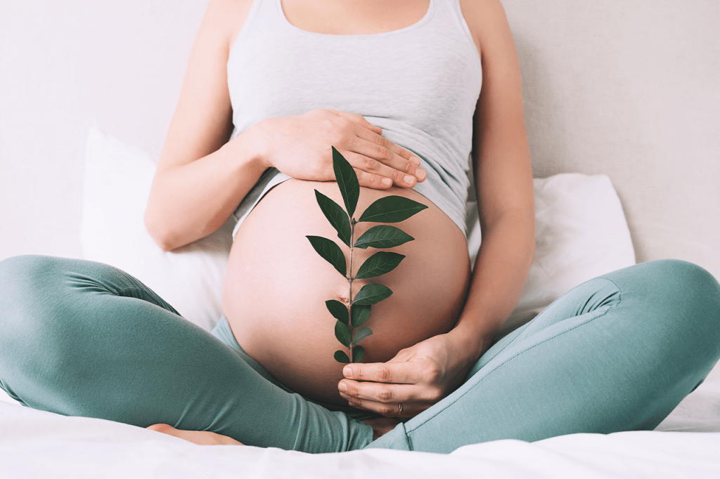 Coping with Body Dysmorphia & Pregnancy