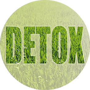 Banyan Detox Program