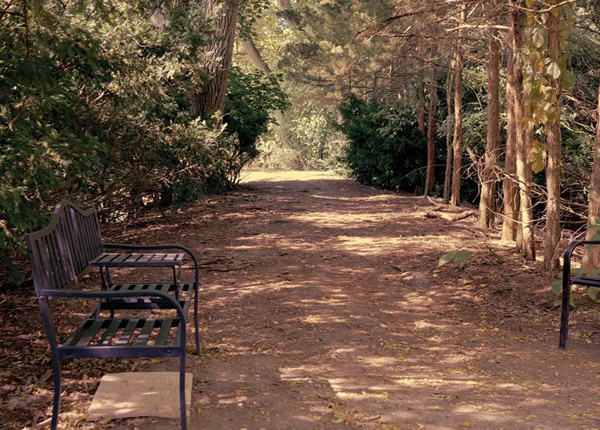 heartland