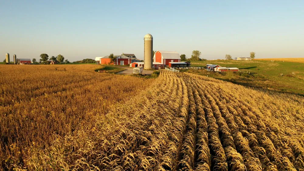 illinois landscape