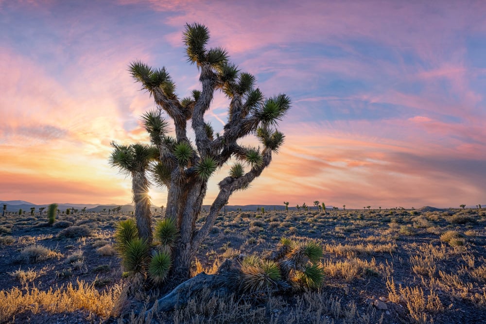 nevada-treatment-centers