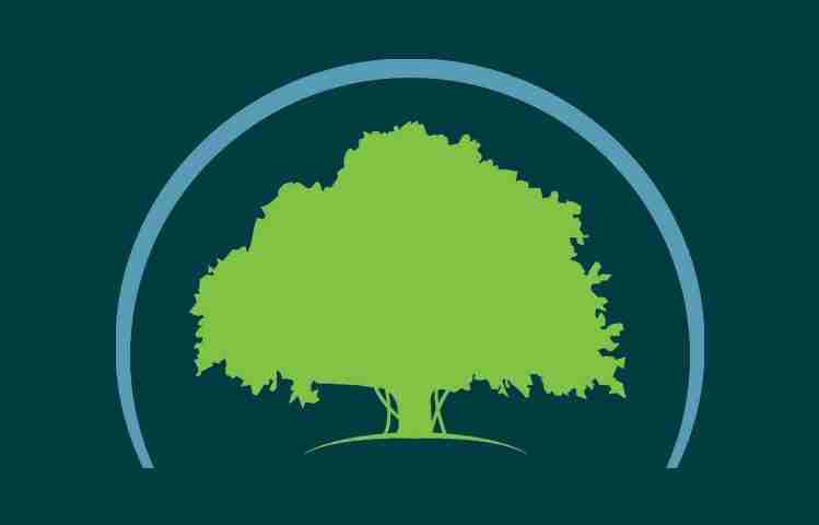 Banyan Logo