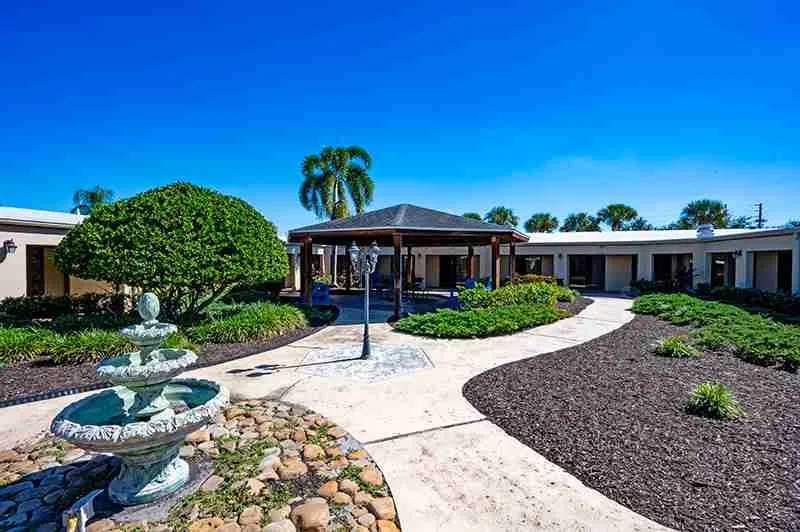banyan tampa